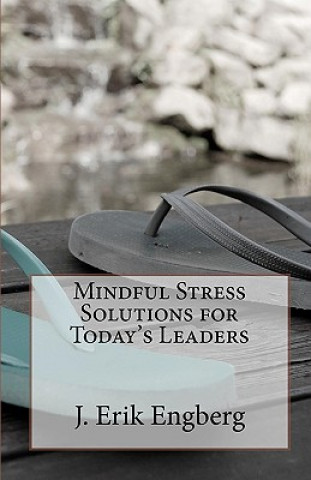 Knjiga Mindful Stress Solutions for Today's Leaders J Erik Engberg