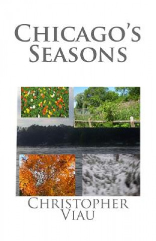 Kniha Chicago's Seasons Christopher Viau