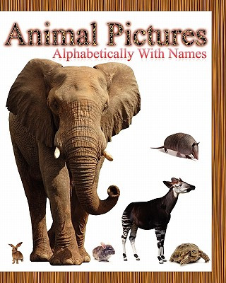 Kniha Animal Pictures Alphabetically with Names Dinesh Rajan