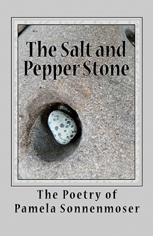 Book The Salt and Pepper Stone: Snapshots of Life's Journey Pamela Sonnenmoser