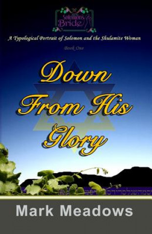 Kniha Down From His Glory: Solomon's Bride Volume One Mark Meadows