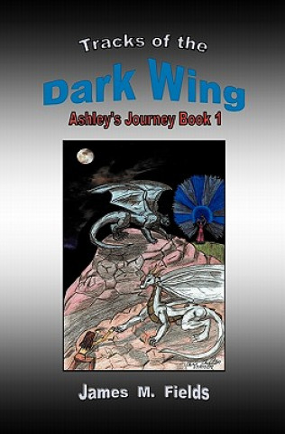 Kniha Tracks of the Dark Wing: Ashley's Journey Book 1 MR James M Fields