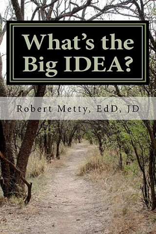 Kniha What's the Big IDEA?: A Guide to Understanding Special Education Dr Robert J Metty Jr