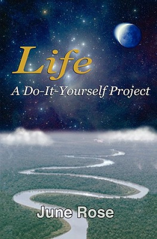 Carte Life: A Do-It-Yourself Project: One Woman's Journey Discovering Life's Riches June Rose