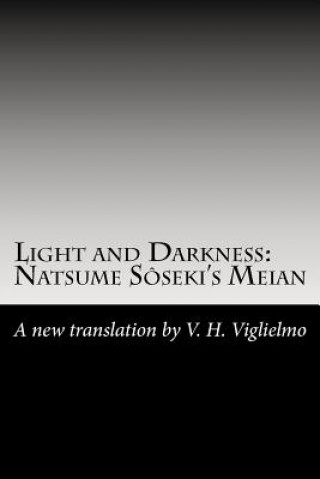 Carte Light and Darkness: Natsume Sôseki's Meian: A New Translation By V. H. Viglielmo Natsume S Seki