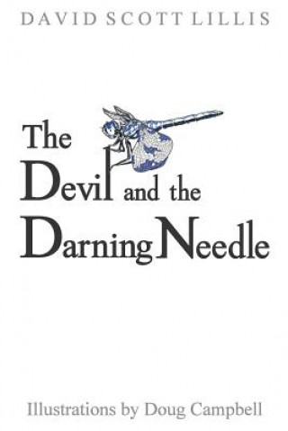 Book The Devil and the Darning Needle David Scott Lillis