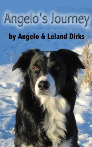 Kniha Angelo's Journey: A Border Collie's Quest for Home Angelo Dirks