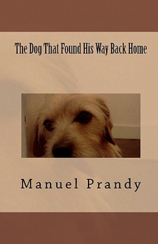 Buch The Dog That Found His Way Back Home Manuel A Prandy Jr