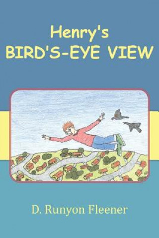 Carte Henry's Bird's-Eye View D Runyon Fleener