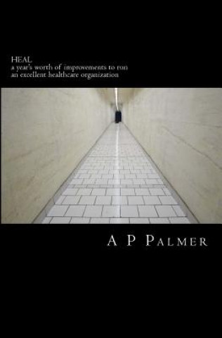 Book Heal: a year's worth of improvements to run an excellent healthcare organization A P Palmer