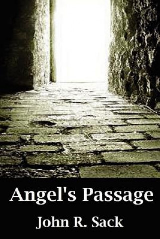 Βιβλίο Angel's Passage John R Sack