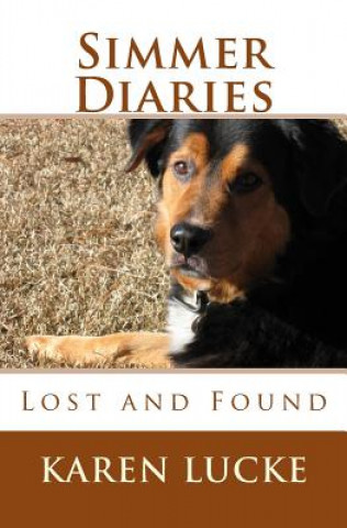Könyv Simmer Diaries: Lost and Found Karen Lucke
