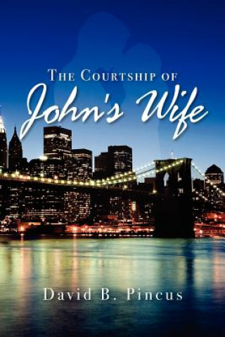 Kniha The Courtship of Johns' Wife MR David B Pincus