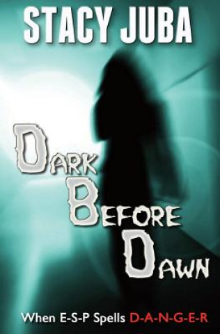 Book Dark Before Dawn Stacy Juba