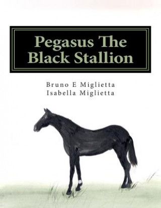 Kniha Pegasus The Black Stallion Bruno E Miglietta