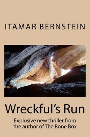 Kniha Wreckful's Run Itamar Bernstein