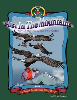 Kniha Mist In The Mountains Adam Tollefson
