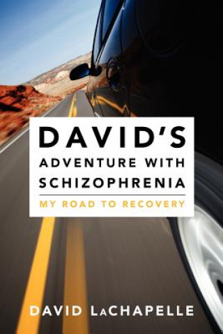 Kniha David's Adventure with Schizophrenia: My Road to Recovery David LaChapelle