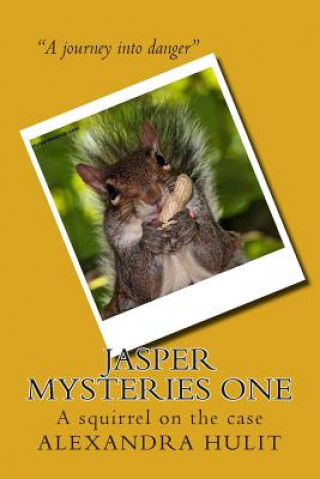 Kniha Jasper Mysteries: Mystery Alexandra L Hulit