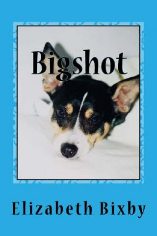 Buch Bigshot Elizabeth a Bixby