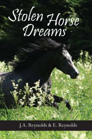 Libro Stolen Horse Dreams J a Reynolds