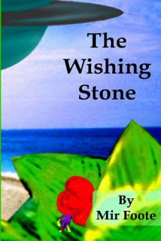 Buch The Wishing Stone: The Chronicles of Evrion Mir Foote