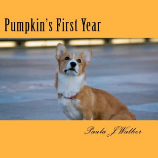 Könyv Pumpkin's First Year Paula J Walker