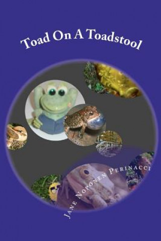 Könyv Toad On A Toadstool Jane Noponen Perinacci