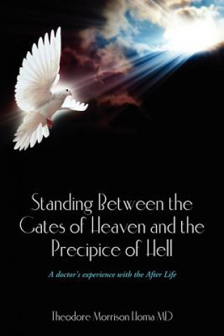 Book Standing Between the Gates of Heaven and the Precipice of Hell: A doctor's experience with the After Life Theodore Morrison Homa MD