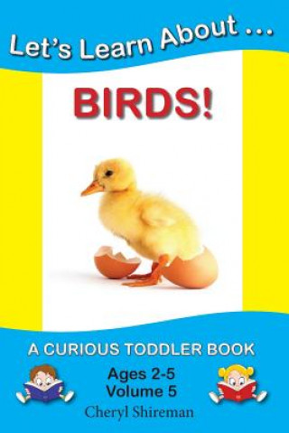 Książka Let's Learn About...Birds!: A Curious Toddler Book Cheryl Shireman