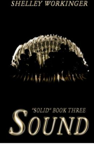 Kniha Sound: Solid, Book 3 Shelley Workinger