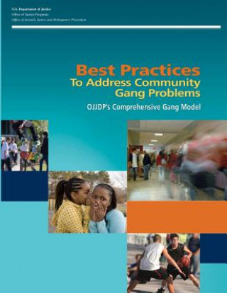 Carte Best Practices To Address Community Gang Problems: OJJDP's Comprehensive Gang Model (Second Edition) U S Department Of Justice