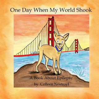 Carte One Day When My World Shook: A Book About Epilepsy Colleen Nestroyl