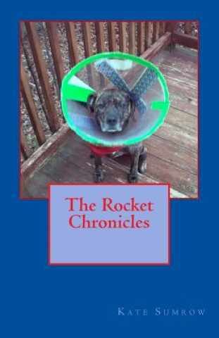 Kniha The Rocket Chronicles Kate Sumrow