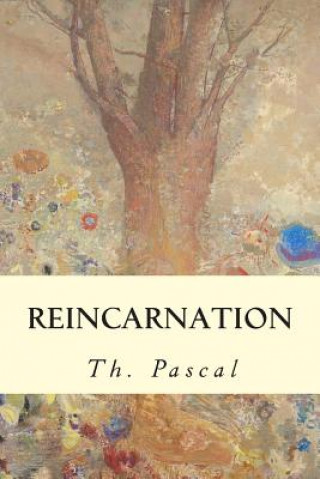 Buch Reincarnation Th Pascal