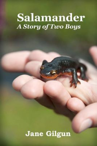 Buch Salamander: A Story of Two Boys Jane Gilgun