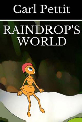 Knjiga Raindrop's World Carl Pettit