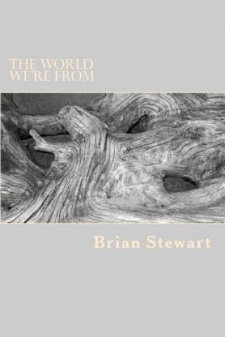 Kniha The World We're From Brian Stewart