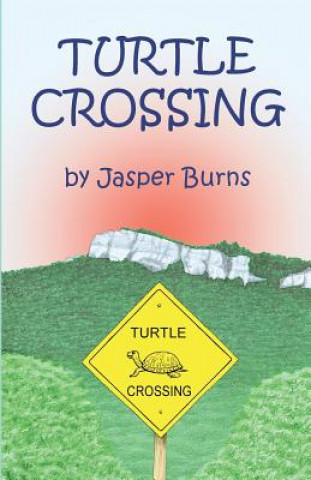 Libro Turtle Crossing Jasper Burns