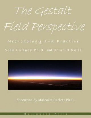 Knjiga The Gestalt Field Perspective: Methodology and Practice Sean Gaffney Phd