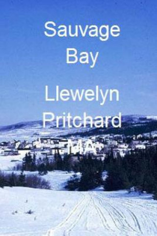 Carte Sauvage Bay: Port Hope Simpson Mysteres Llewelyn Pritchard Ma