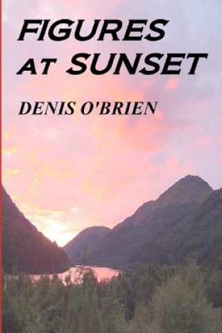 Boek Figures at Sunset Denis O'Brien
