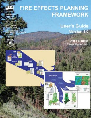 Könyv Fire Effects Planning Framework: A User's Guide (Version 1.0) Anne E Black