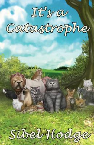 Boek It's a Catastrophe Sibel Hodge