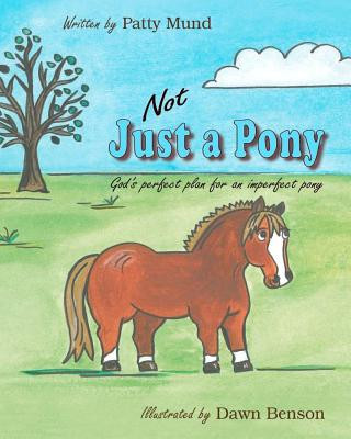 Book Not Just a Pony: God's perfect plan for an imperfect pony Patty Mund