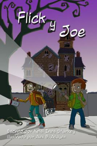 Книга Flick y Joe Kelsi Starkey