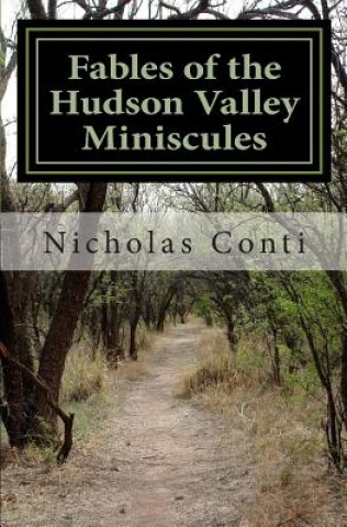 Libro Fables of the Hudson Valley Miniscules: The Gnomes, Wizard's Stone, Indian Caves & War MR Nicholas Edmund Conti