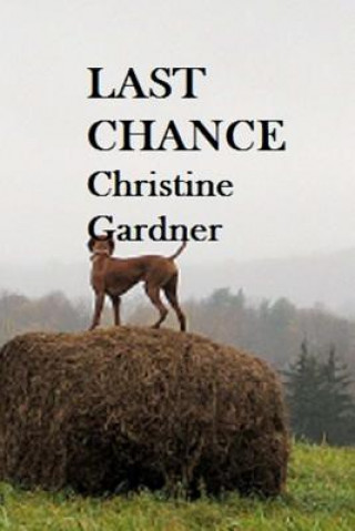 Livro Last Chance Christine Gardner