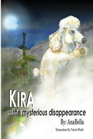 Kniha Kira...The Mysterious Disappearance Mrs Irmgard Schippmann