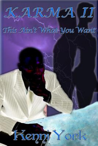 Boek Karma 2: This Ain't What You Want Kenni York